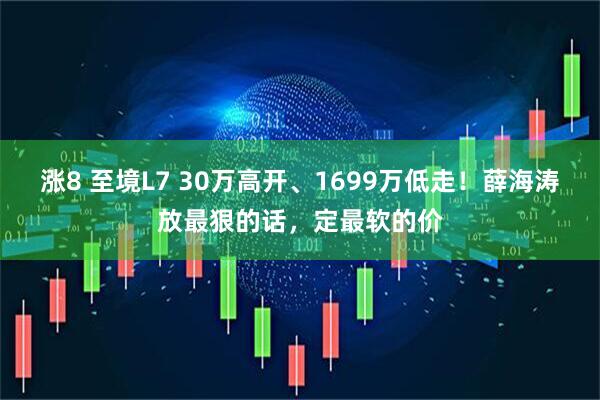 涨8 至境L7 30万高开、1699万低走！薛海涛放最狠的话，定最软的价