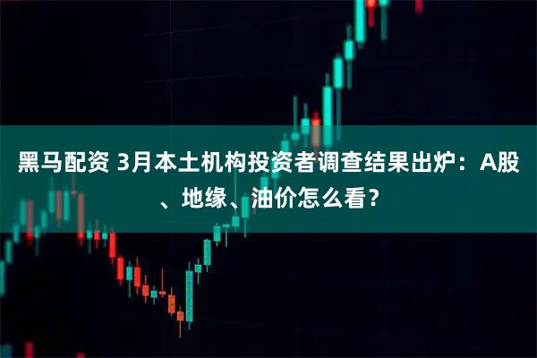 黑马配资 3月本土机构投资者调查结果出炉:A股、地缘、油价怎么看?